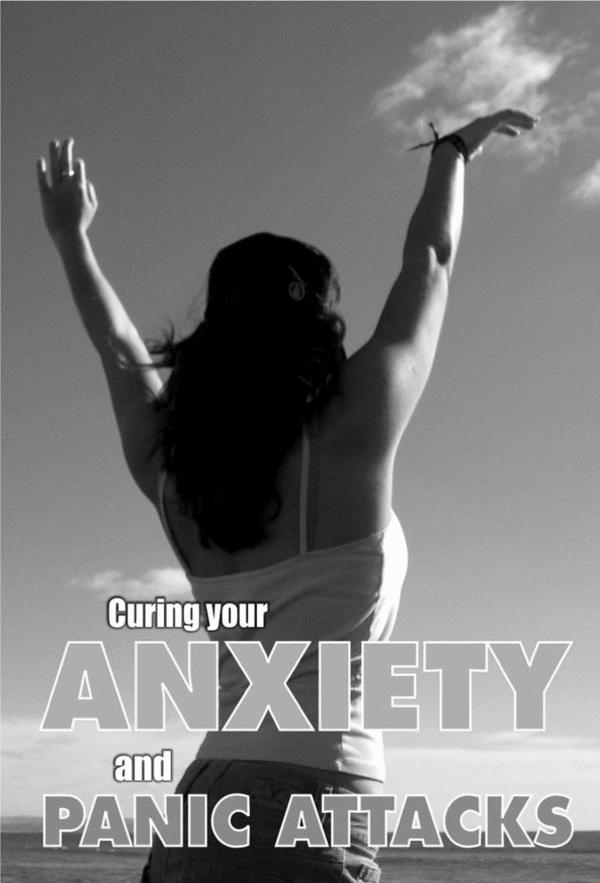 Product picture Anxiety and Panic Attacks Cure - eBook - $3.95